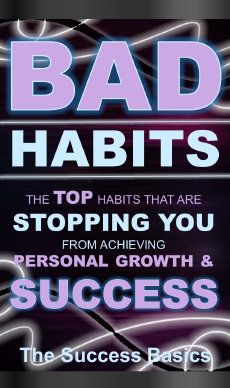 the_success_basics002003.jpg